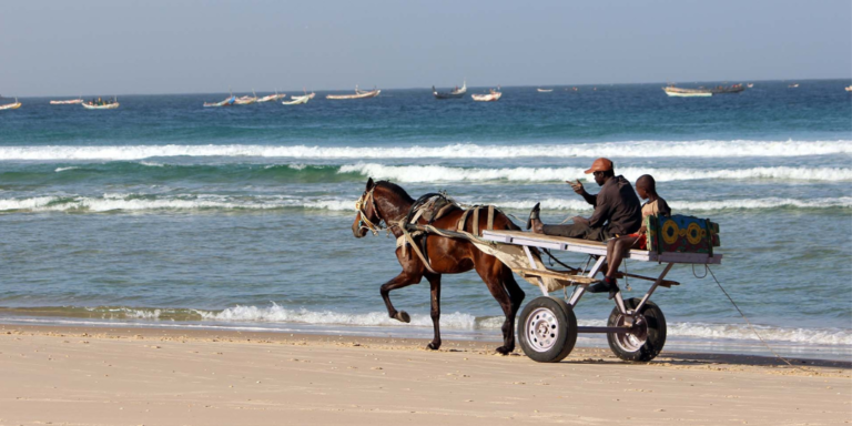 Carro de caballo en la playa Senegal