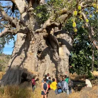 Baobab sagrado de Iwol