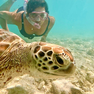 Diseño sin título (7)